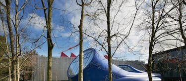 Trees in front of the Drawing Studio