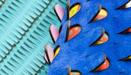 Close up of a heavily layered piece of textile