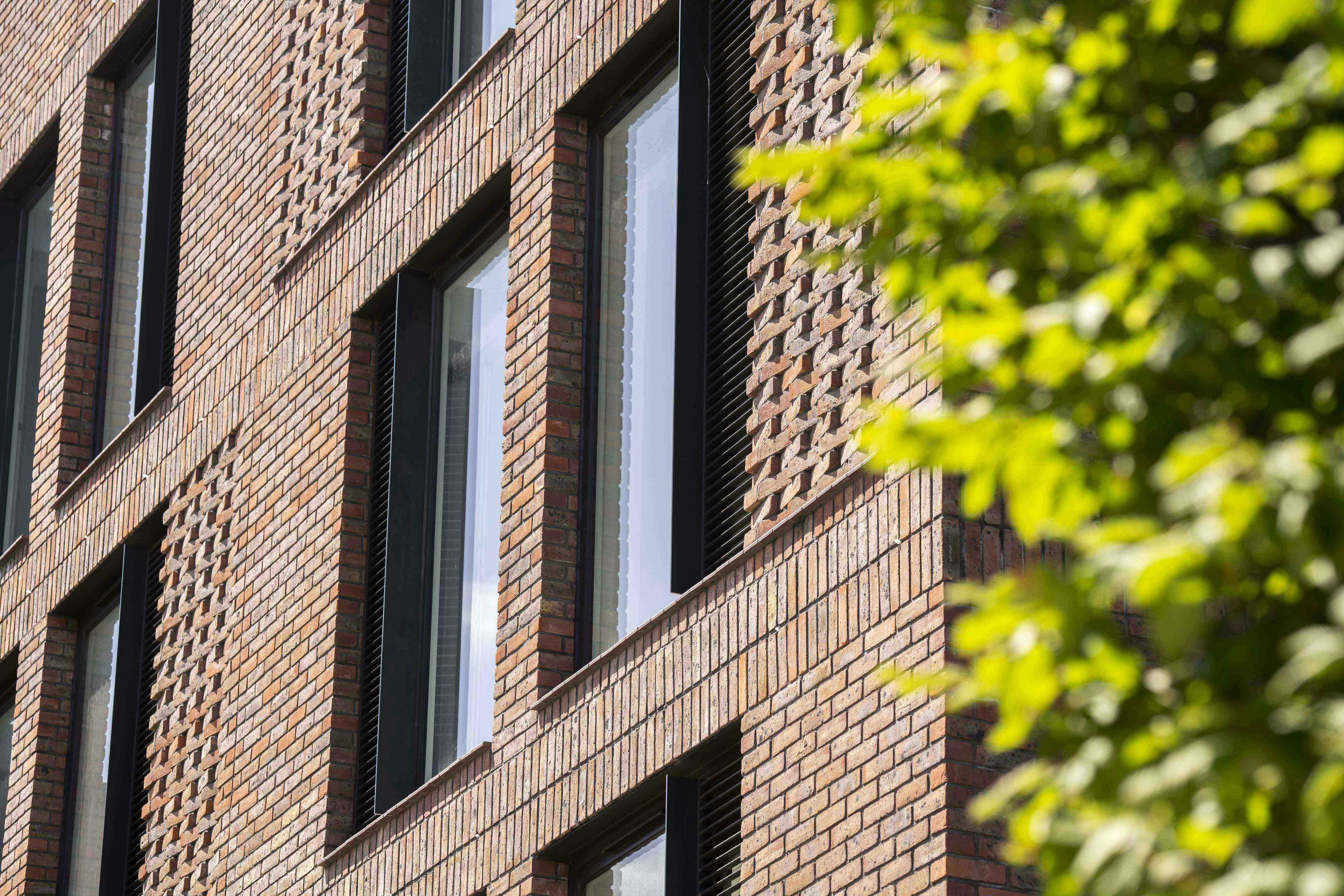 Brick exterior of a university building with rows of windows and the edge of a tree on the right.