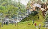 Collage of park with modern architecture