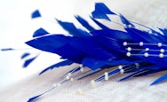 Close up of a blue feather detail on a hat