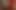4 Panel image of photos, fruit, tomatoes, a woodland and an item of clothing