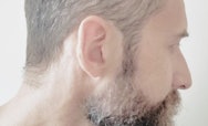 Lee Harper's profile picture