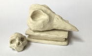 Sculpture