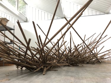 Long, thin planks of wood, reminiscent of a large bird nest