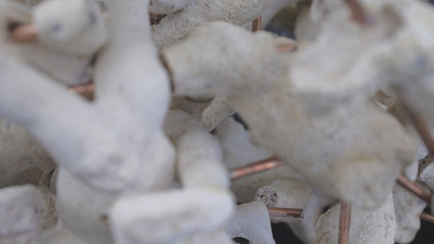 Abstract image of copper wires and papier mache objects