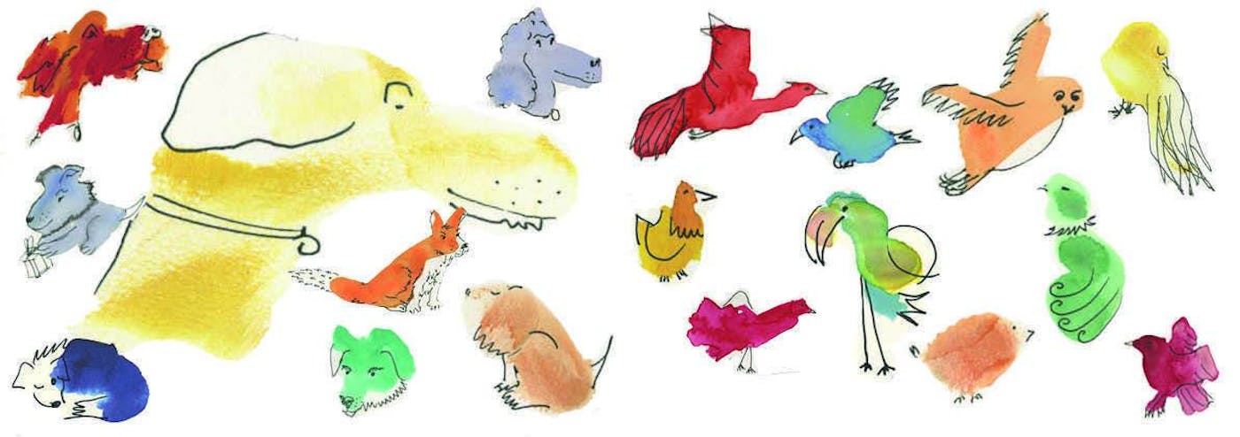 Watercolour paintings of animals