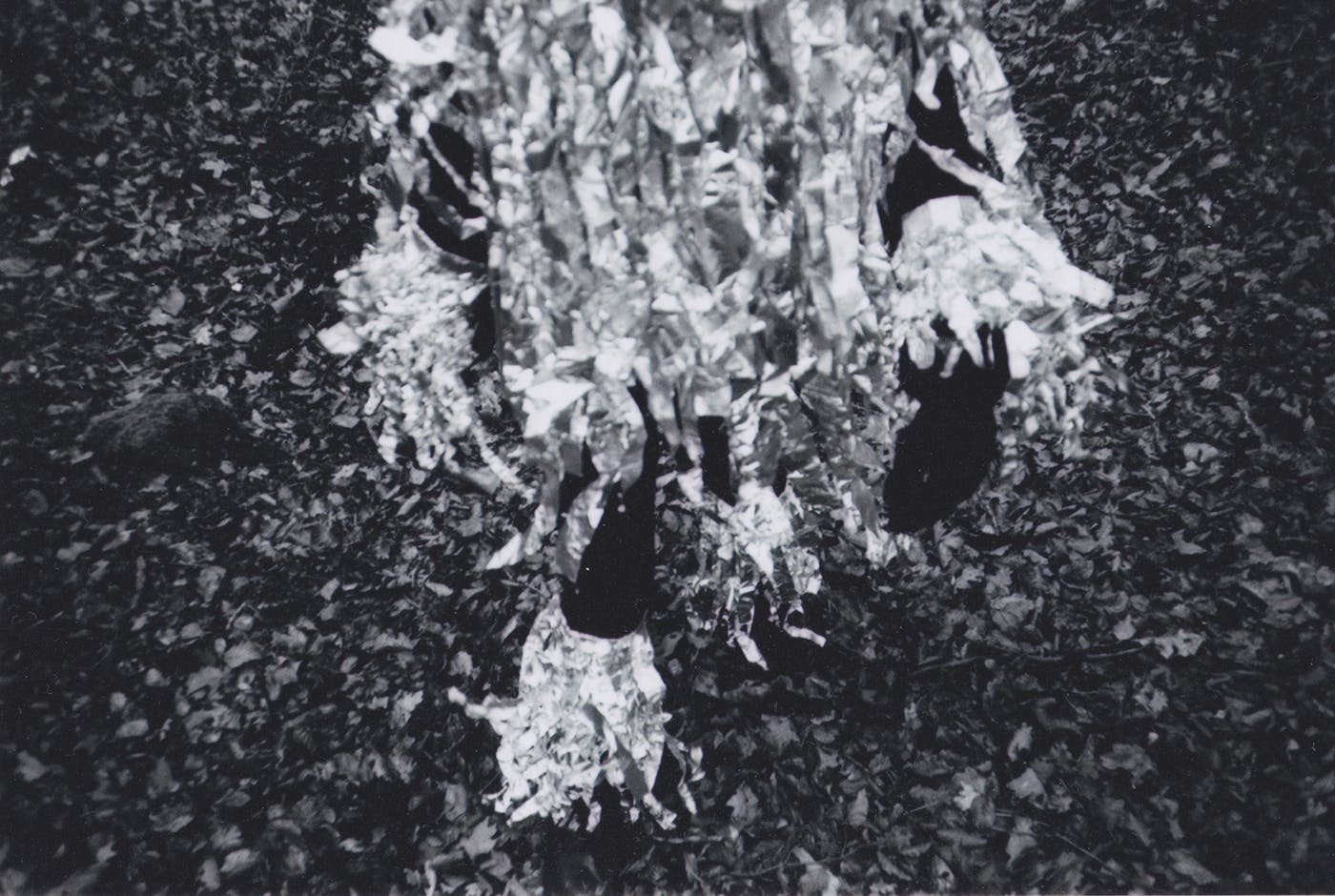 Black and white image of a person wearing a costume made from long strips of material