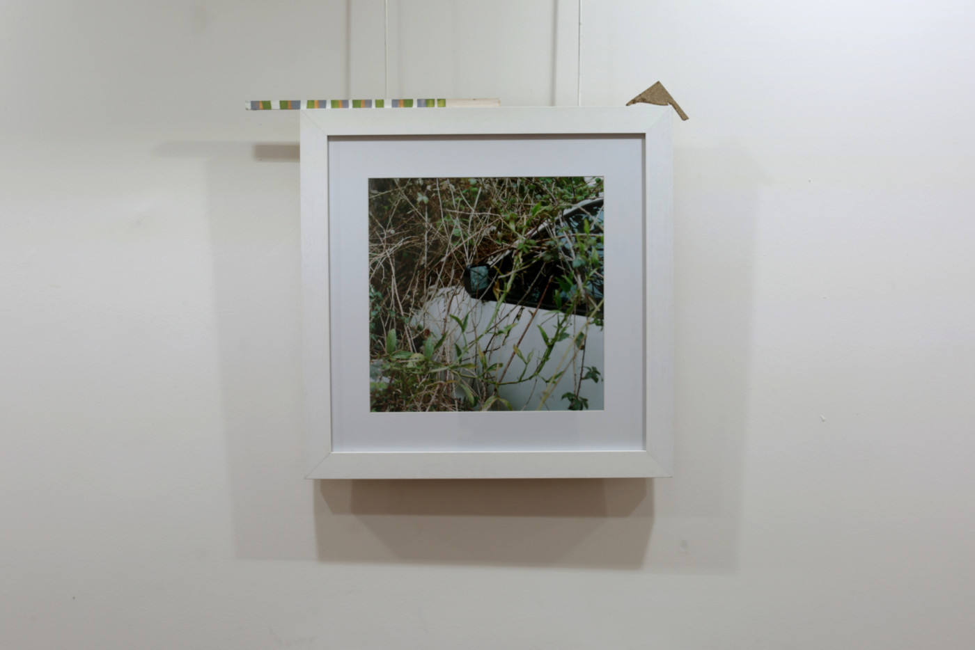 A photo of a garden in a white hanging frame