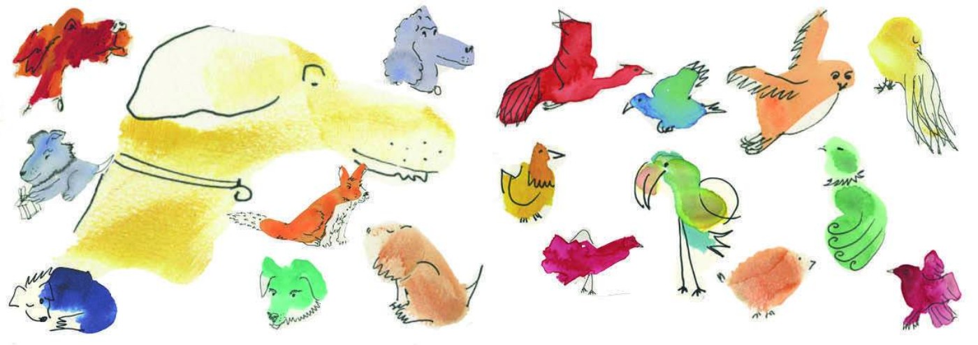 Watercolour paintings of animals