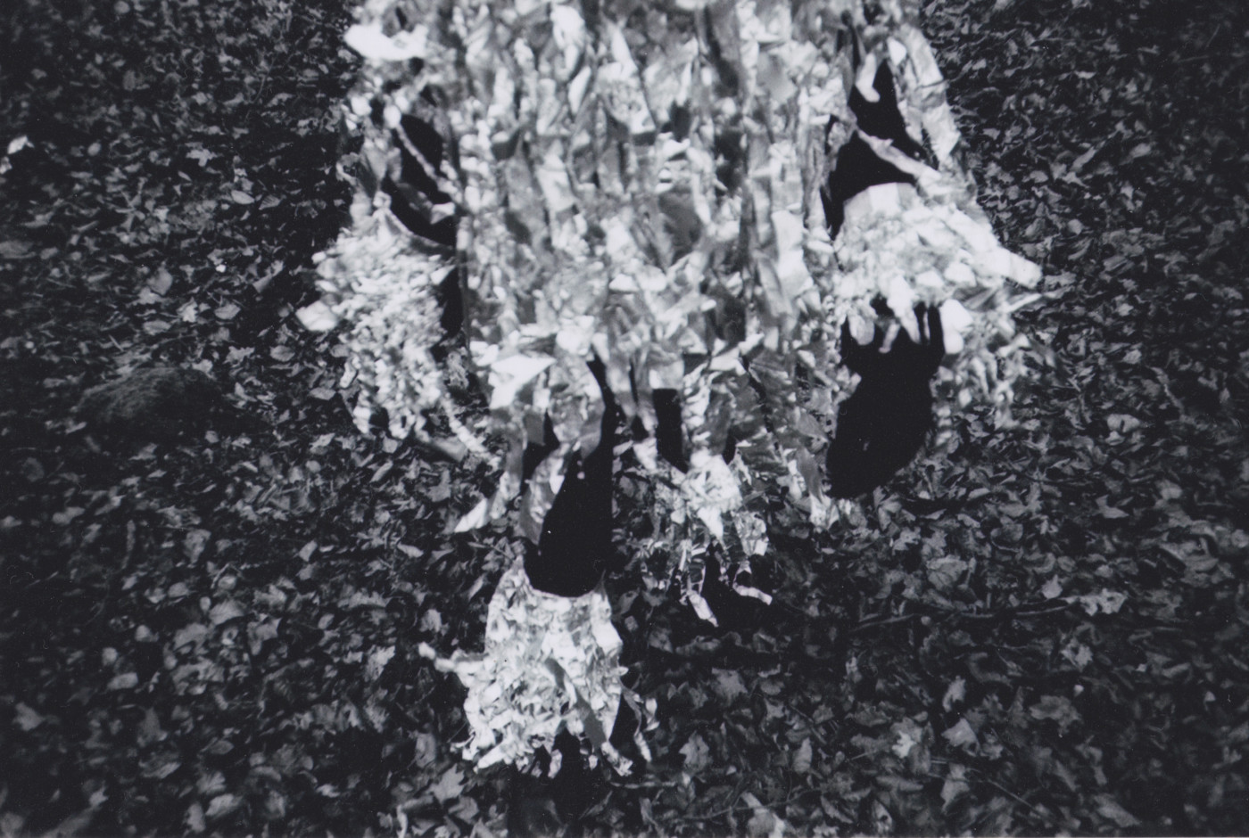 Black and white image of a person wearing a costume made from long strips of material