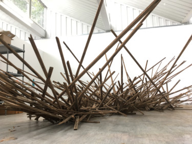 Long, thin planks of wood, reminiscent of a large bird nest