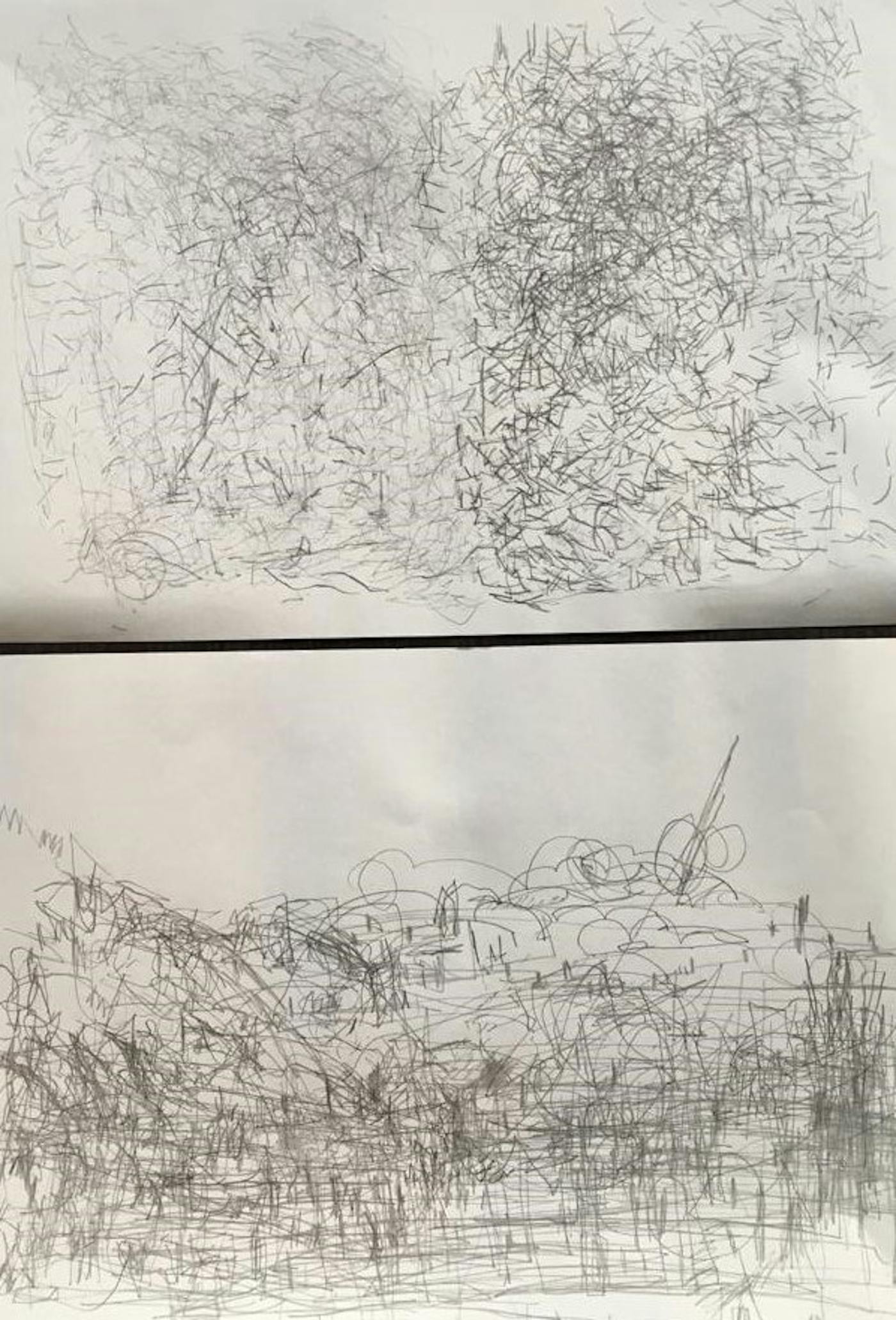 Inner and Outer Landscapes, collaboration with Clare Baskerville